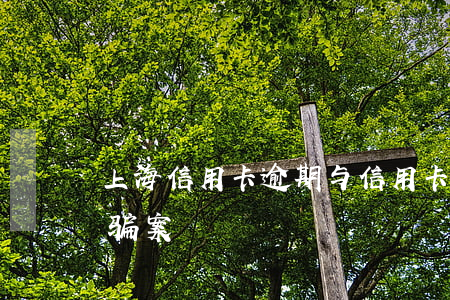 上海信用卡逾期与信用卡诈骗罪(被信用卡诈骗案)