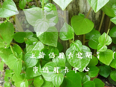 上海信用卡逾期了會(huì)怎么樣(上海市信用卡中心電話)