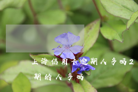 上海信用卡逾期人多吗(2021年信用卡逾期的人多吗)