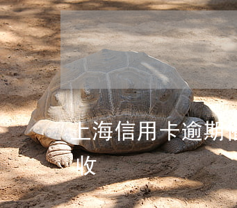 上海信用卡逾期催收說上門(被信用卡上門催收)