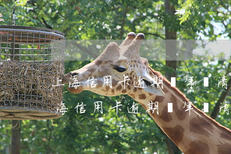 上海信用卡逾期兩年,還清了還可以用不-上海信用卡逾期兩年,還清了還可以用不