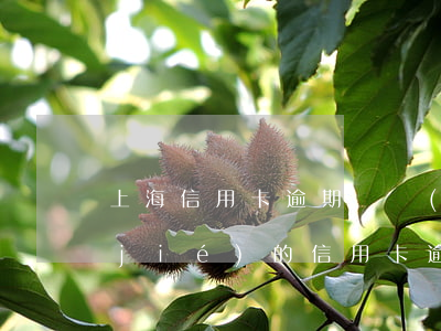 上海信用卡逾期凍結(jié)賬戶 凍結(jié)的信用卡逾期上征信嗎