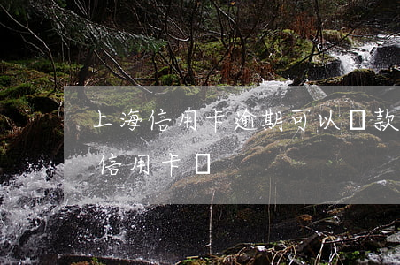上海信用卡逾期可以貸款嗎(貸款逾期還能辦信用卡嗎)