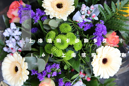 上海信用卡逾期多久會(huì)凍結(jié)(上海信用卡逾期多久會(huì)凍結(jié))