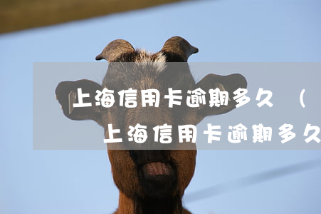 上海信用卡逾期多久會(huì)有不良記錄（上海信用卡逾期多久會(huì)有不良記錄）