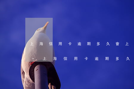 上海信用卡逾期多久會上征信浦發(fā)-上海信用卡逾期多久會上征信浦發(fā)銀行