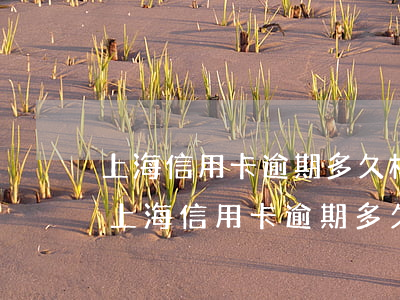 上海信用卡逾期多久構(gòu)成詐騙罪(上海信用卡逾期多久構(gòu)成詐騙罪)