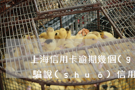 上海信用卡逾期幾個(gè)月為詐騙罪 詐騙說(shuō)信用卡逾期