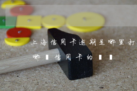 上海信用卡逾期是哪里打電話過來-上海是哪個信用卡的電話