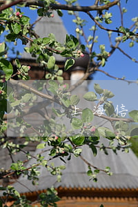 上海信用卡逾期是詐騙罪嗎 信用卡 逾期 詐騙