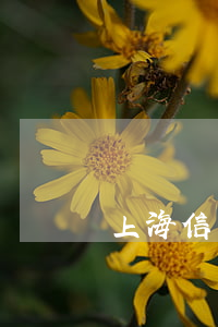 上海信用卡逾期會影響車貸嗎