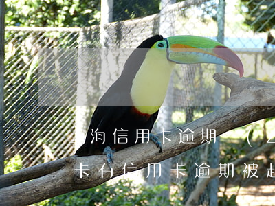 上海信用卡逾期準(zhǔn)備起訴信用卡(有信用卡逾期被起訴的嗎)