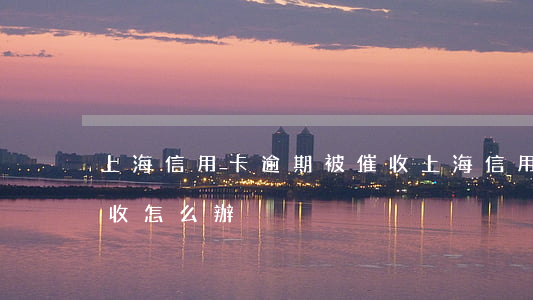 上海信用卡逾期被催收(上海信用卡逾期被催收怎么辦)