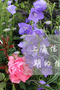 上海信用卡逾期費(fèi)用怎么算的(逾期的信用卡利息怎么算)