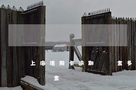 上海信用卡逾期賠償金多少（上海信用卡逾期賠償金）