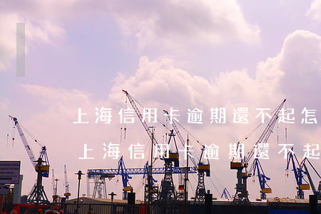 上海信用卡逾期還不起怎么辦浦發(fā)（上海信用卡逾期還不起怎么辦浦發(fā)）