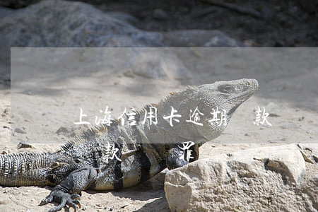 上海信用卡逾期還款詐騙罪(上海信用卡逾期還款詐騙罪)