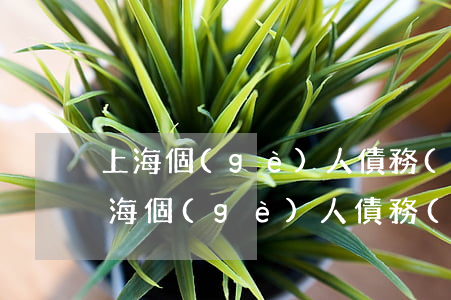 上海個(gè)人債務(wù)逾期案例 上海個(gè)人債務(wù)逾期案例