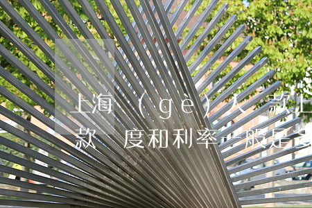 上海個(gè)人貸款(上海個(gè)人貸款額度和利率一般是多少?)