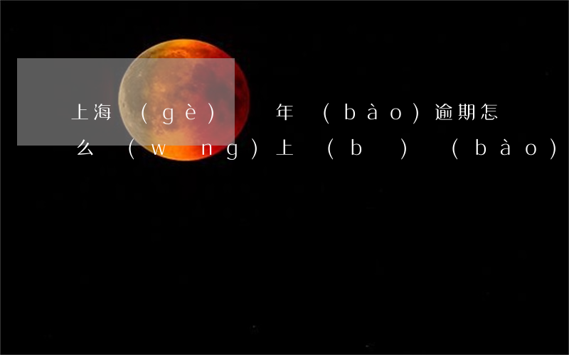 上海個(gè)體戶年報(bào)逾期怎么網(wǎng)上補(bǔ)報(bào)-上海個(gè)體戶年報(bào)逾期怎么網(wǎng)上補(bǔ)報(bào)呢