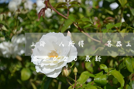 上海個人所得稅計算器(上海個人所得稅計算器2020最新)