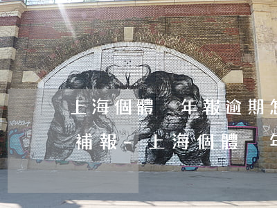 上海個體戶年報逾期怎么網(wǎng)上補報-上海個體戶年報逾期怎么網(wǎng)上補報呢