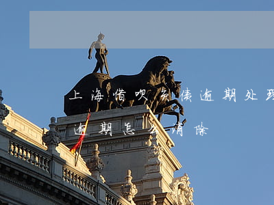 上海借呗负债逾期处理方法(借呗已经产生的逾期怎么消除)