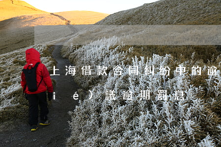 上海借款合同糾紛中的逾期罰息 借款協(xié)議逾期罰息