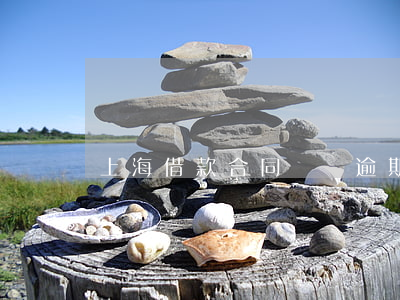 上海借款合同糾紛逾期利息 上海借貸糾紛律師