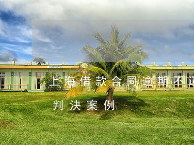 上海借款合同逾期不還詐騙罪(上海合同詐騙判決案例)