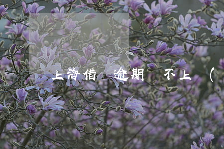 上海借貸逾期還不上會(huì)起訴嗎