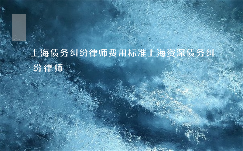 上海债务纠纷律师费用标准（上海资深债务纠纷律师）