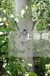 上海假离婚净身出户为了分房