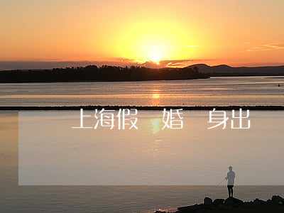 上海假離婚凈身出戶為了分房