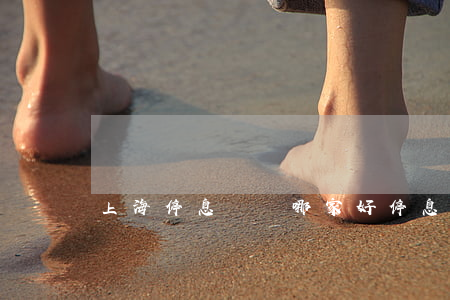 上海停息掛賬哪家好(停息掛賬平臺)