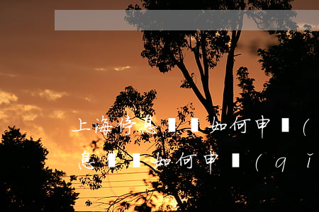 上海停息掛賬如何申請(qǐng)（上海停息掛賬如何申請(qǐng)）