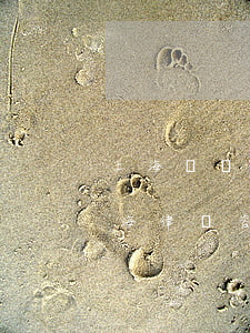 上海傳話律師一次要多少錢(qián)(上海律師咨詢費(fèi)用收取標(biāo)準(zhǔn))