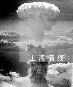 上海債務(wù)個性化分期