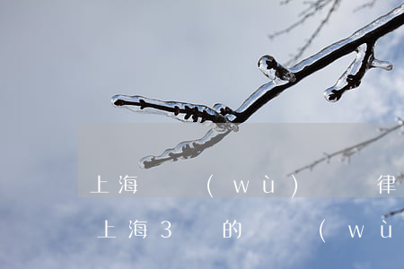 上海債務(wù)糾紛律師費(fèi)用（上海3萬的債務(wù)律師）