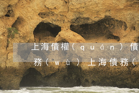 上海債權(quán)債務(wù)律師服務(wù) 上海債務(wù)糾紛