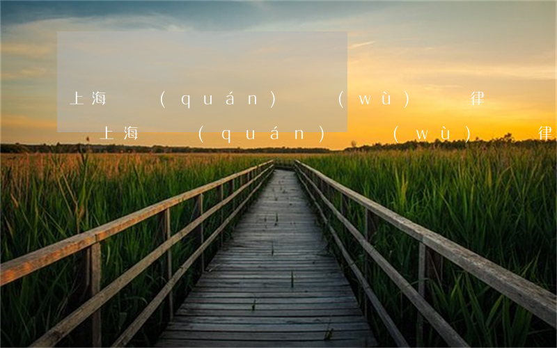 上海債權(quán)債務(wù)糾紛律師(上海債權(quán)債務(wù)糾紛律師事務(wù)所)