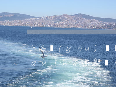 上海優(yōu)貸網(wǎng)正規(guī)不逾期(優(yōu)貸上征信嗎)