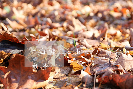上海儲(chǔ)蓄合同糾紛逾期利息同期利率