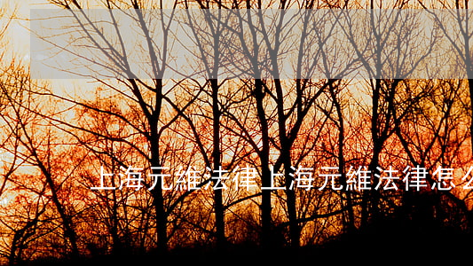 上海元維法律(上海元維法律怎么樣)