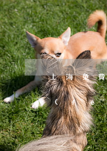 上海免費(fèi)法律援助中心(上海免費(fèi)法律援助中心)