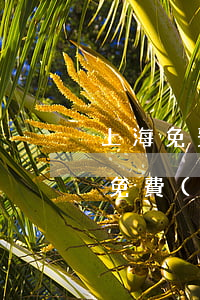 上海免費(fèi)的法律援助在哪里(上海免費(fèi)法律援助地址)
