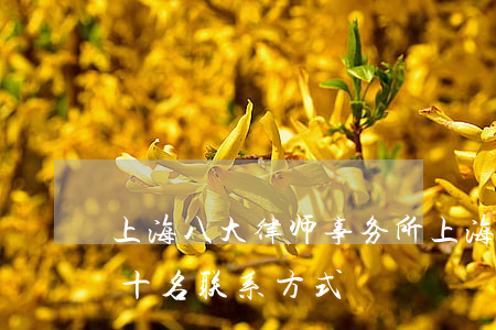 上海八大律师事务所(上海律师事务所排名前十名联系方式)