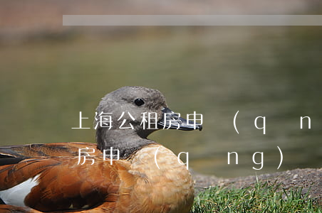 上海公租房申請(qǐng)條件(上海公租房申請(qǐng)條件及流程2020)