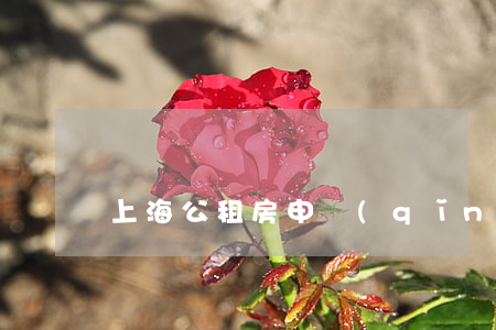 上海公租房申請(qǐng)流程
