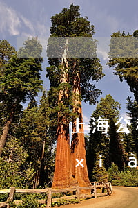 上海公積金套現(xiàn)，公積金提現(xiàn) 上海
